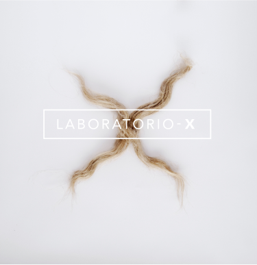 laboratorio-x